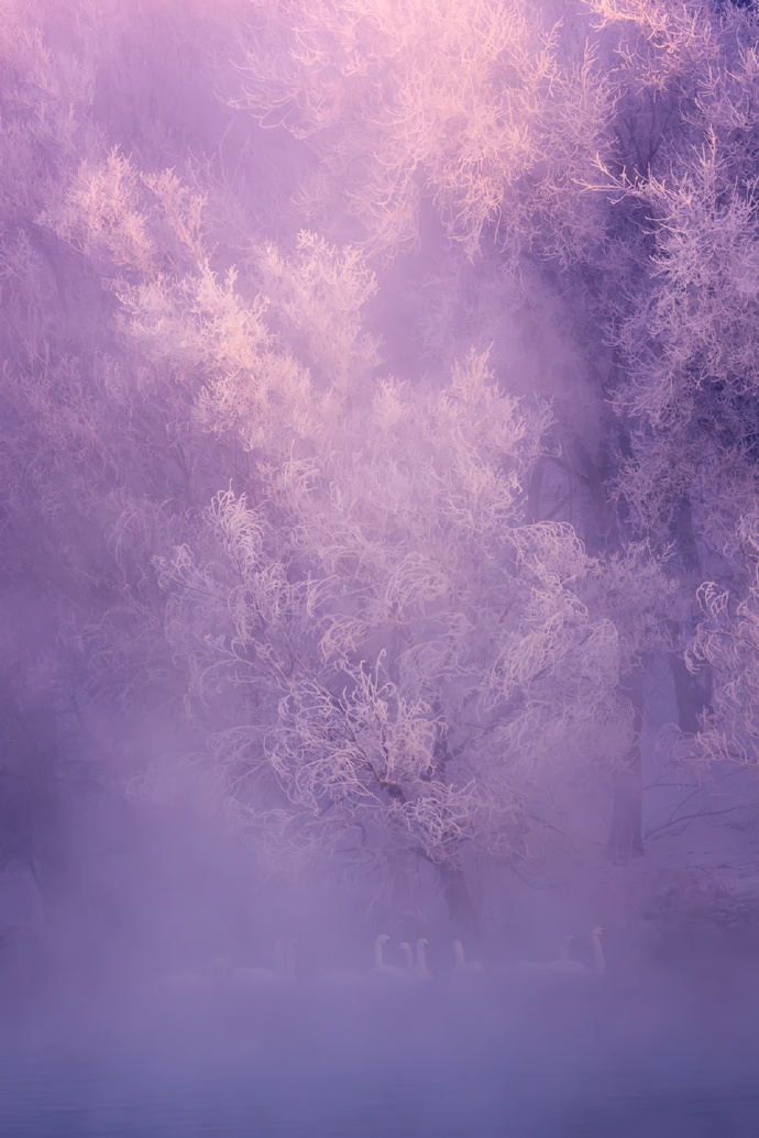 紫瀑帘风烟胧沙， 蓝辰半壁释天涯。 冰轮流转雕花岸， 半是仙风半是花(pic3)