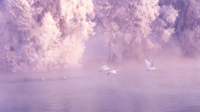 紫瀑帘风烟胧沙， 蓝辰半壁释天涯。 冰轮流转雕花岸， 半是仙风半是花(pic4)
