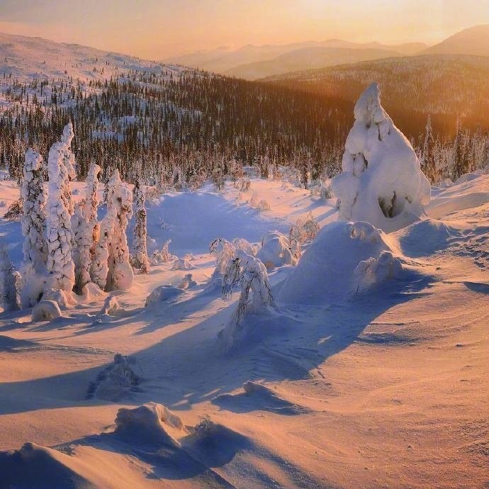 阳光下的雪景 …(pic1)