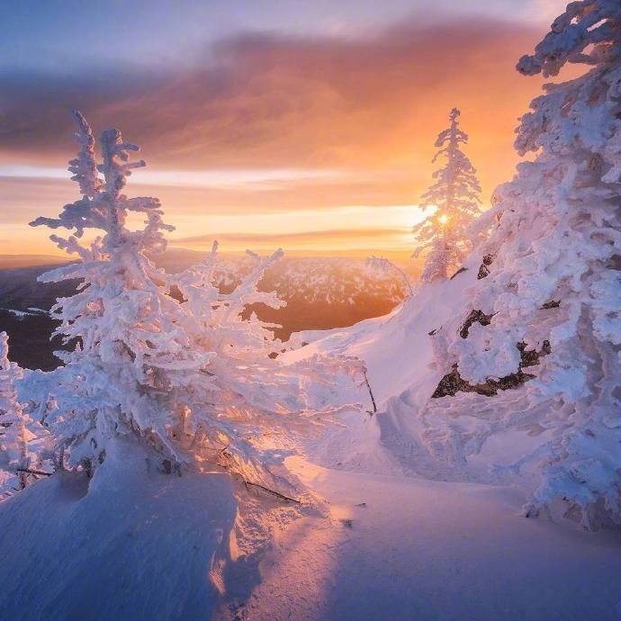 阳光下的雪景 …(pic4)