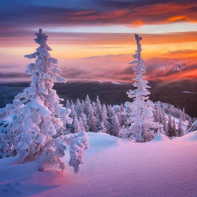 阳光下的雪景 …(pic8)