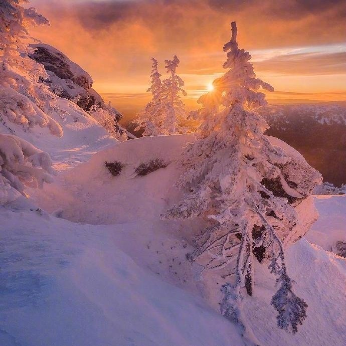 阳光下的雪景 …(pic9)