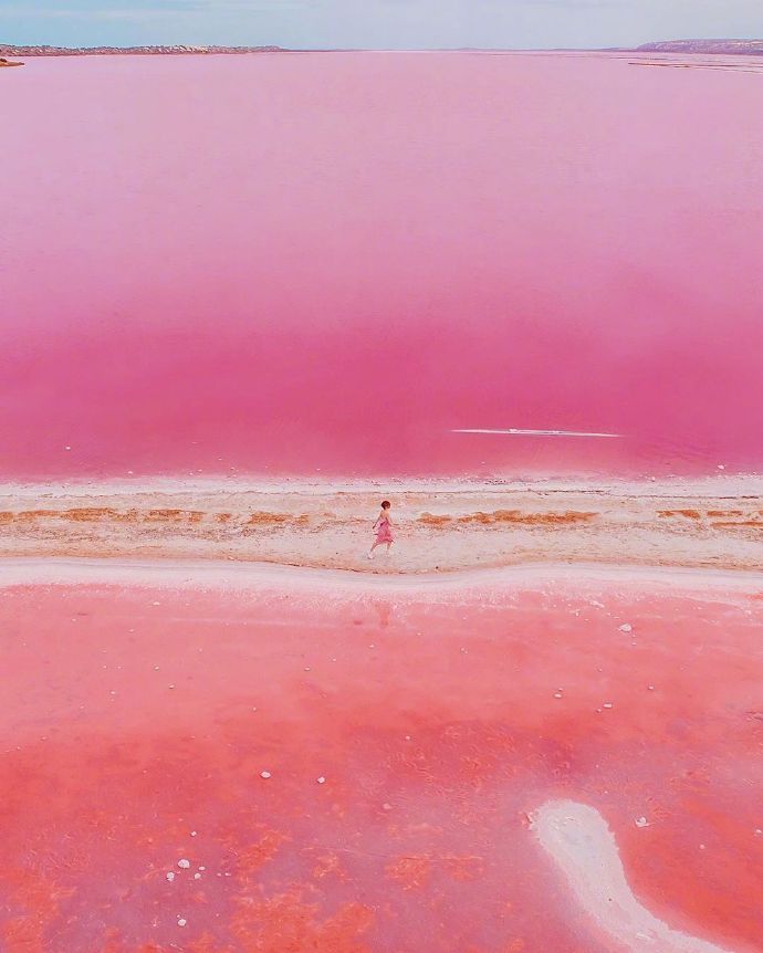 Pink Dream(pic1)