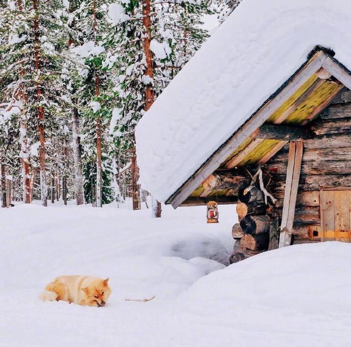 芬兰不只有极光，还有童话般的雪景. (图4)
